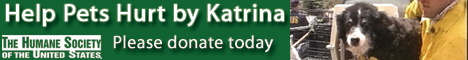 Katrina Banner