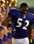 Ray Lewis - Sports Photography