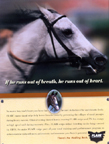 Flair Ad - Equine Photography