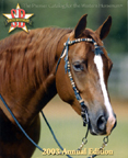 Smith Bros. - Equine Photography
