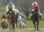 Equine Phtography
