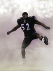 Ray Lewis - Sports Photography